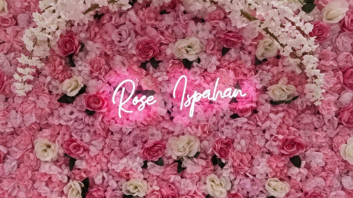 ROSE ISPAHAN